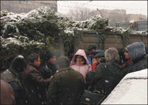 Preţurile pomilor de Crăciun "o vor lua razna" anul acesta