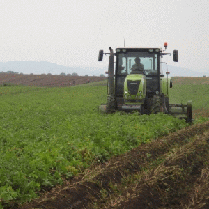 Italia, cel mai important cumpărător de teren agricol în ţara noastră