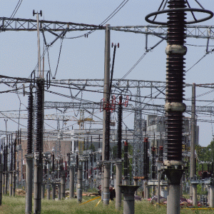Niţă: "Verificăm marjele de profit ale distribuitorilor de energie"
