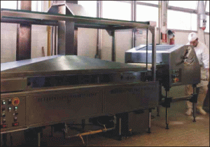 Fabricile de zahăr ar putea produce biocarburanţi