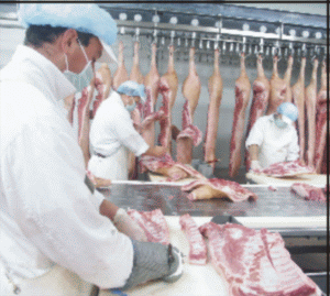 Producţia de carne, în creştere în octombrie faţă de luna anterioară