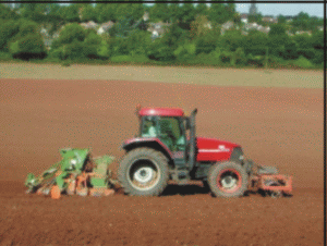 Creşterea economică a fost frânată de lipsa investiţiilor din agricultură
