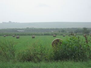 "Fermierii mai au 30 de zile pentru înfiinţarea unui fond mutual"