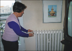 ANRE amână decizia majorării preţului gazelor în 2008