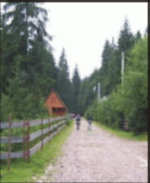 SUCEAVA: Lucrări de modernizare pe drumul forestier Pietrele Muierii