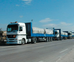 Inspecţii la firmele de transport pentru depistarea şoferilor cu acte false