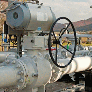 WWF România: "Beneficiile economice ale gazelor de şist au fost şi sunt exagerate"