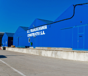 SIF Banat-Crişana oferă 23,8 milioane lei pentru 50,37% din Transilvania Construcţii