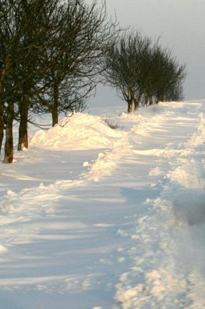 ANM: "De luni ar putea fi instaurat un cod galben de ninsori"