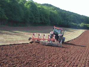 Terenuri agricole mai scumpe şi arendaşi nemulţumiţi