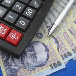 Finanţele au atras 13,5 milioane lei, într-o licitaţie suplimentară