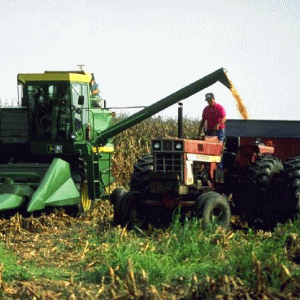 Fondul mutual agricol, contestat de reprezentanţii fermierilor