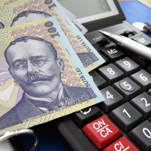 BNR: "Creanţele administraţiei publice au crescut ca pondere în PIB"