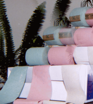 Parlamentul de la Chişinău, licitaţie pentru hîrtie igienică