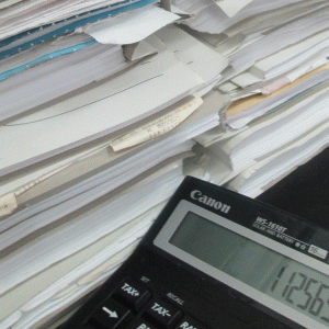 Curtea de Conturi: "Persistă deficienţele AAAS în monitorizarea privatizărilor"