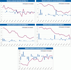 MACRO NEWSLETTER 13 februarie 2014
