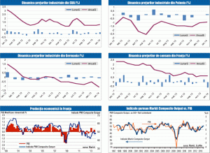 MACRO NEWSLETTER 21 februarie 2014