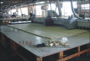 "Samus Mex" - cifră de afaceri de circa 25 milioane de lei în primele nouă luni din 2007
