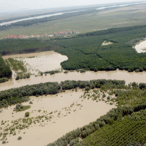 Autorităţile ne liniştesc, fermierii sunt pesimişti