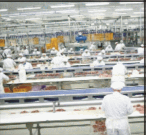 NUTRICOMB: Preţurile materiilor prime animaliere se menţin constante