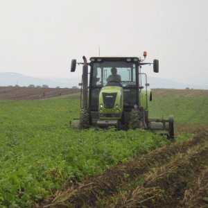 "Transilvania, neatractivă pentru investiţii în terenuri agricole"