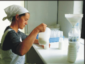 Procesatorii şi producătorii şi-au făcut laptele praf 