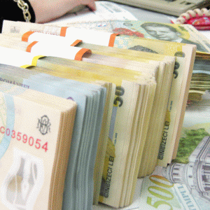 BNR a înregistrat pierderi de 1,25 miliarde lei în 2013, din operaţiuni şi reevaluarea valutei