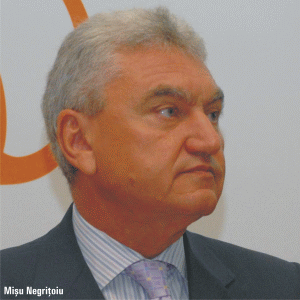 ASF: Asigurătorii români vor aplica Solvency II de la 1 ianuarie 2016