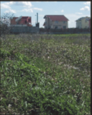 PRAHOVA: Aproape 13 ha de teren pentru activităţi industriale, în Berceni