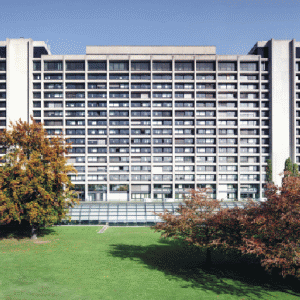 Bundesbank: Economia Germaniei stagnează