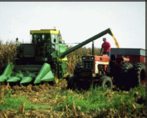 Criteriile de eficienţă vor conduce la reducerea numărului de exploataţii agricole