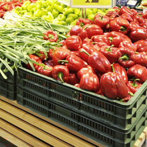 Rusia mai are rezerve de alimente pentru două săptămâni