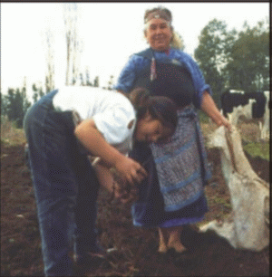 Agricultura, lovită din toate direcţiile