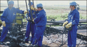 "Petrom" şi-ar putea spori profitul cu 41% în acest an, în ciuda scăderii veniturilor
