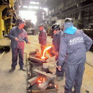 Aversa Manufacturing a câştigat procesul cu AAAS şi la Curtea de Apel