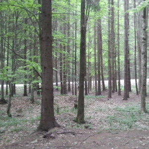 Lotul Hrebenciuc deschide poarta pentru Lotul Verestoy