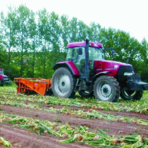 "Costul redus al terenurilor agricole din România îi atrage pe investitori"