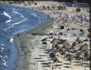 La ultima licitaţie organizată de "THR Marea Neagră", vilele turistice au fost la mare preţ 
