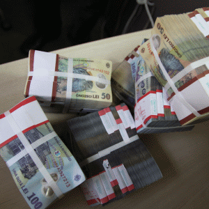 FNGCIMM a acordat garanţii de 6,5 miliarde lei