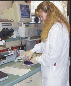 Creştere cu 30,88% a cifrei de afaceri a "Miteco" Iaşi