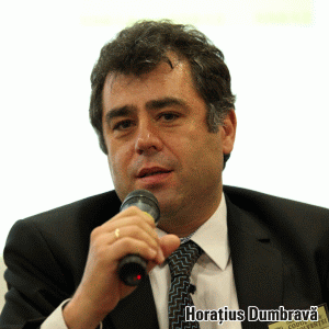 "Bine ar fi ca intervenţia statului în economie să aibă succesul Simonei Halep"