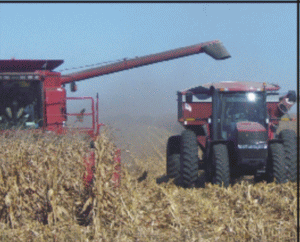 Cum a ajuns agricultura la mila bunului Dumnezeu