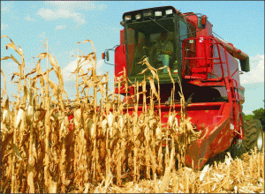 "Lukoil" vrea să dea Guvernul în judecată pentru neplata bonurilor valorice agricole