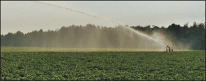 Ministerul Agriculturii a cerut ADS să rediscute metoda de privatizare a SNIF
