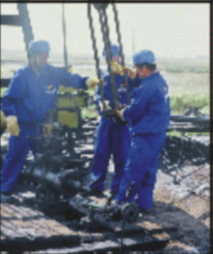 "Petrom" va plăti de astăzi dividendele aferente anului trecut