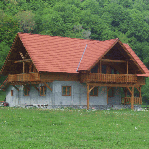 "Industria asigurărilor poate rezista cu succes în cazul unui utremur major"
