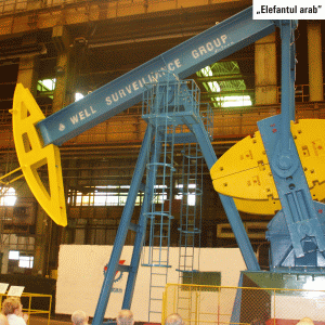Vulcan va testa un cazan pentru producţia de energie pe bază de biomasă