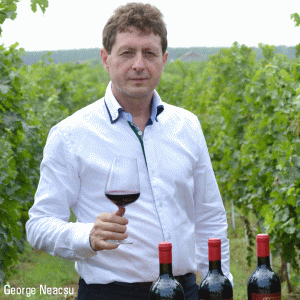 Senator Wine a cultivat cea mai mare plantaţie de struguri bio din Sud-Estul Europei
