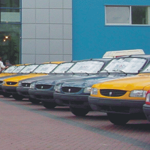 Coface: 59 de companii româneşti, în top 500 din regiunea ECE