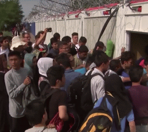 Imigranţii creează scandal diplomatic între România şi Ungaria
